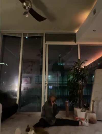 a cat that hates gymnastics