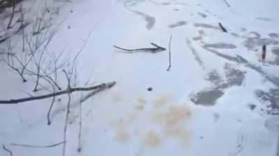 the forbidden corndog.....