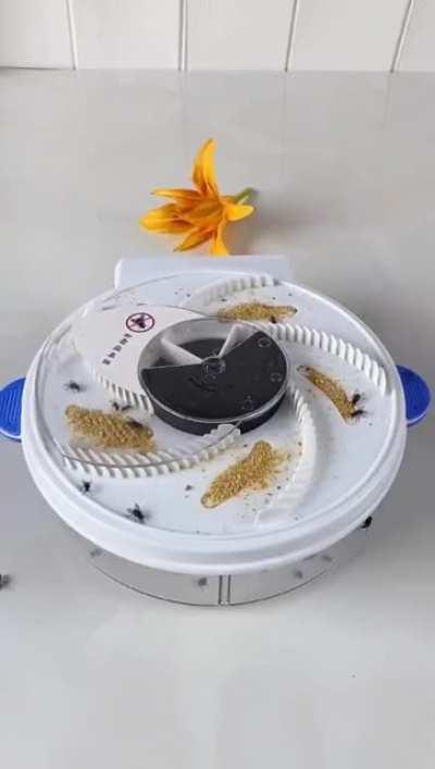 Everyone need this fly trapper