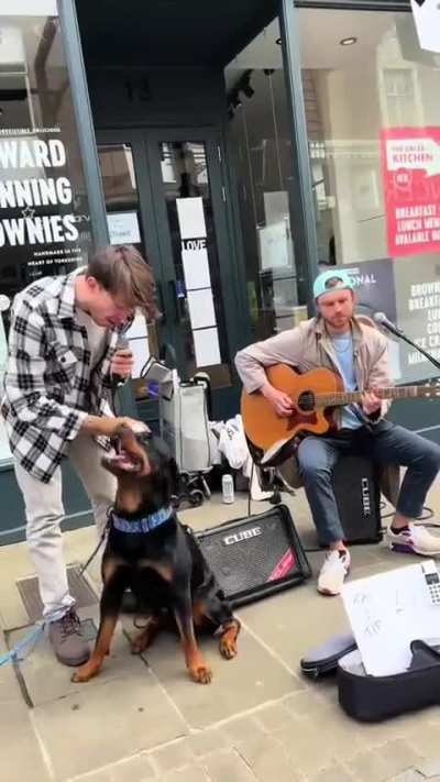 When You’re Too Cute to Be Ignored