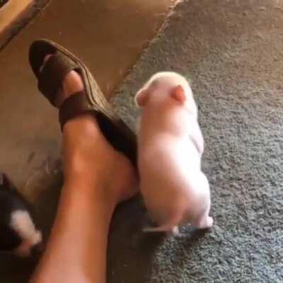 Now that’s the sweet spot