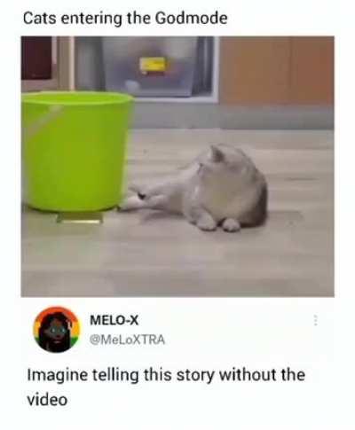 Did the cat on the left Wink at the End