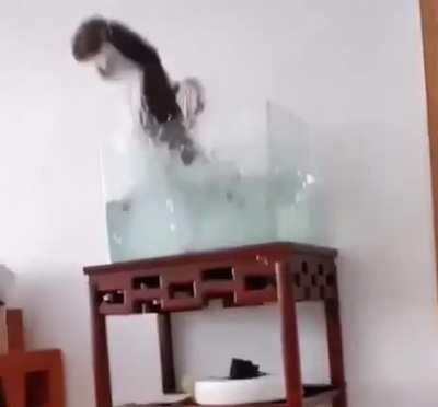 That's not a table...