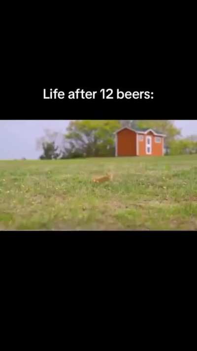 13 beers tho..