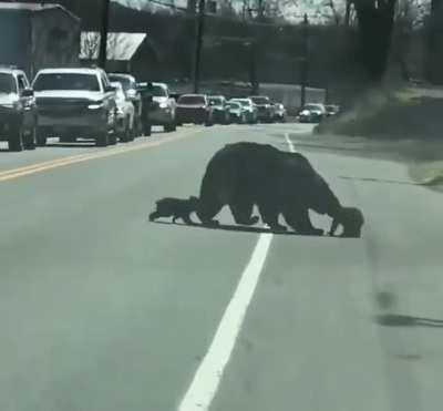 Kids are menaces : lmao