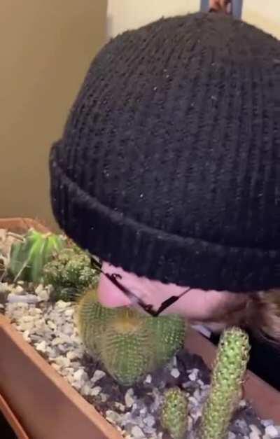 Thanks, I hate eating a cactus