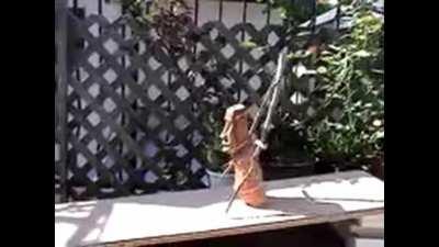 SORY MAMO NIE BYLO PALUSZKOW W KIOSKU 😡😡😡😡