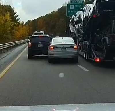 Thought they could fit or not paying attention in front of them? [OC]