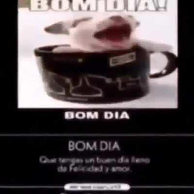 Bom dia