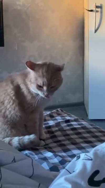 You were right, I can see straight through!