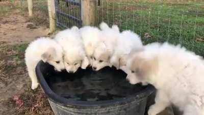 Listen with sound :)