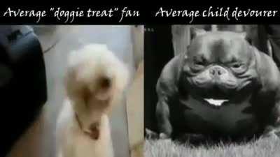 16 children go missing on one day after pitbull gets loose.