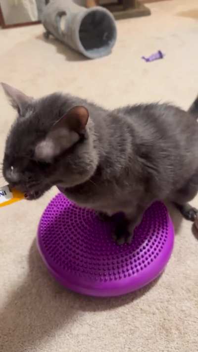 jenkins’ physical therapy equipment arrived!