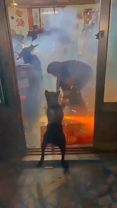 Dog is a man's best friend