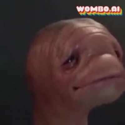 Why have I done this