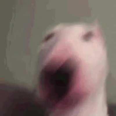 when firetruck and monster truck