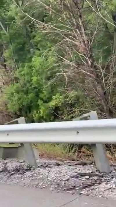 Idiots overtaking on the emergency lane get blocked by truckers.