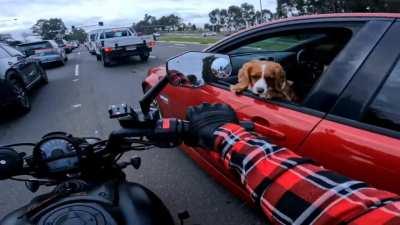 I think I scared the owner.