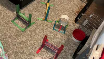 My awesome pet rat Feta is learning her first agility course!