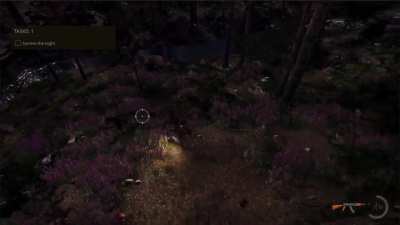 Adjusting lighting and environment details