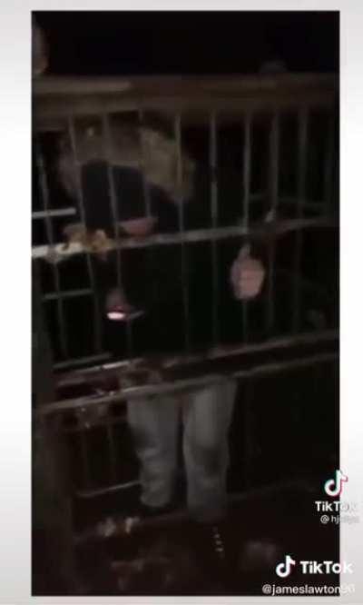 Im a crackhead get me out of here