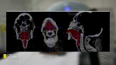 remember when technology gave us the mummy’s voice