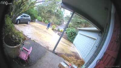 Porch pirate pirating has to lie.