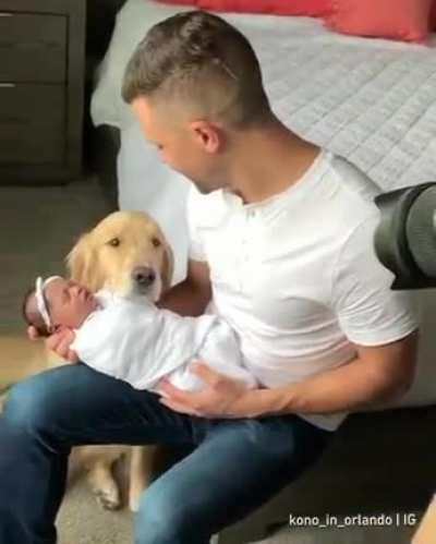 Just a good boi being his bestest self