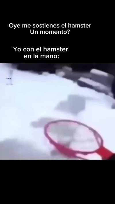 BeelcitosMemes - Video #8275