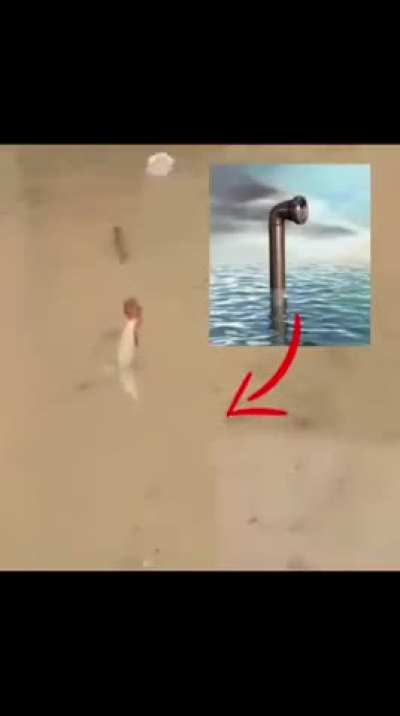 Una polla submarina