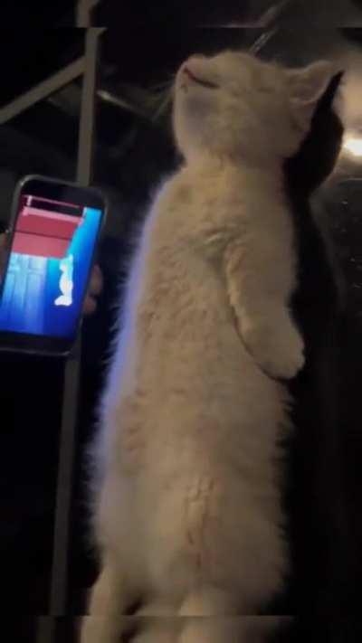 wunk thinks he's him ð­