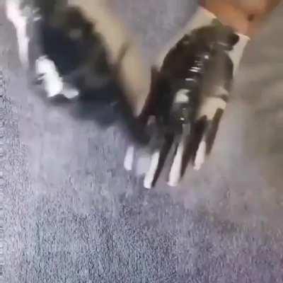 Some people still really need to see this