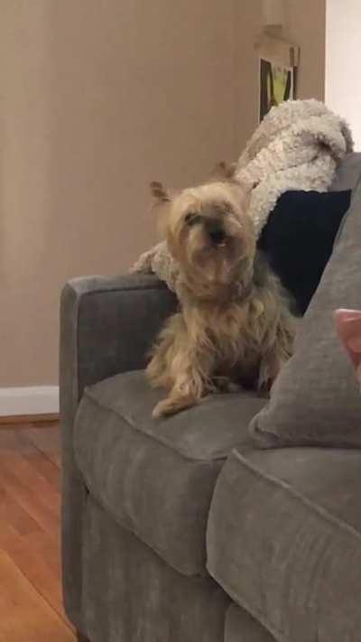 Attempting to get the piece of rice stuck to her chin