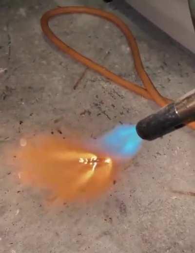 OOOOH CIZBIZ HAMAM BÖCEĞİ