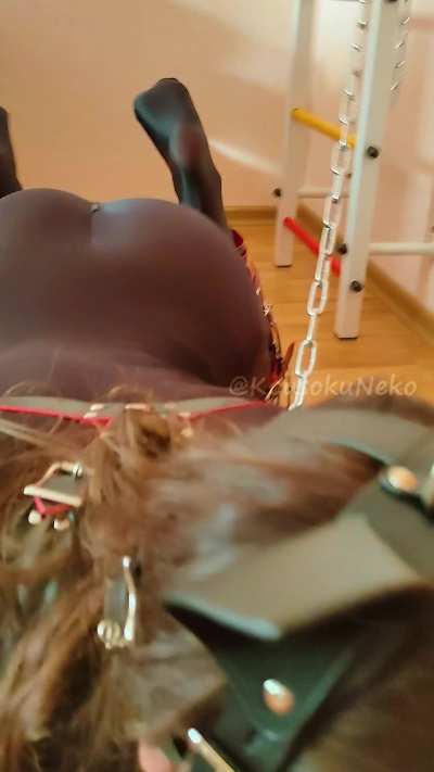 A chained pet in lycra