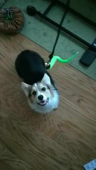 This is what peak performance looks like