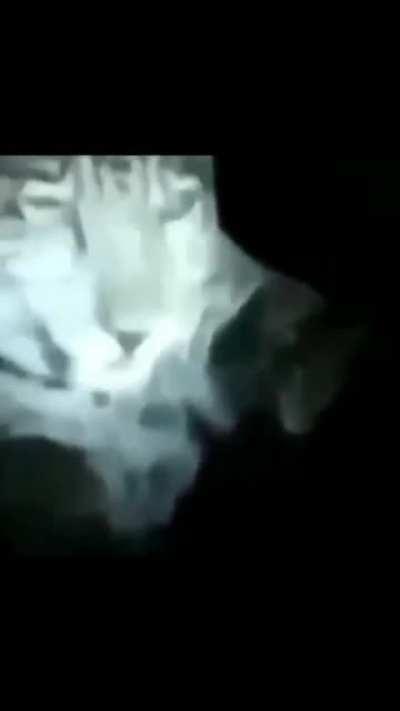 O Homem sem Medo: O Retorno.