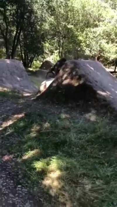 Everyone needs a good dental plan.