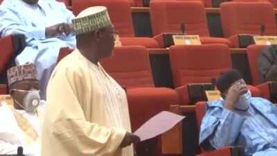 This is the Nigerian Senate, where removing your facemask if you need to sneeze results in laughter during a global pandemic