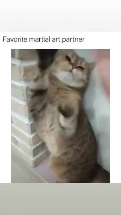 The king and queen must see this