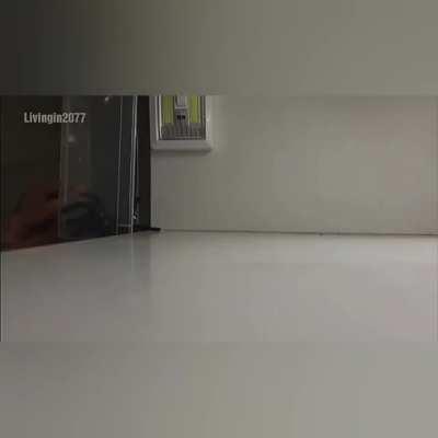 Seems like an appropiate reaction