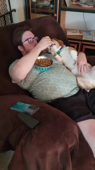 Gem got attacked by another dog today so dad thought he'd spoil her by cuddling and hand feeding.