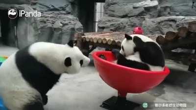 A panda a day keeps the sorrow away