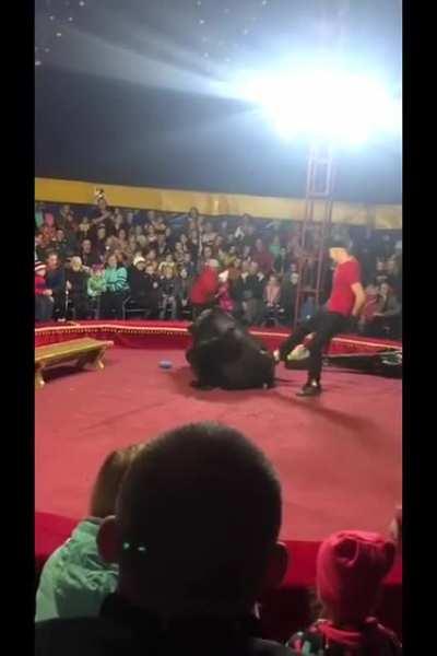 No enclosure?? Living is overrated anyways