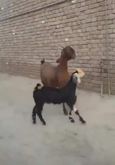 Happy Friday My Dudes!