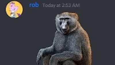 pursona monke 😳😳😳😳😳😳😳😳