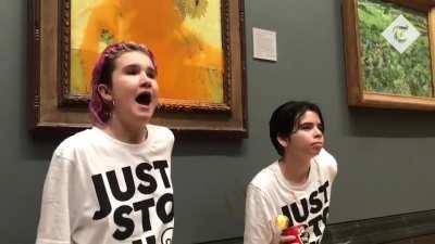 Van Gogh's Sunflower painting doused in tomato soup by Just Stop Oil protesters