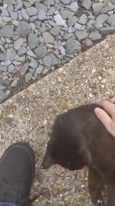 Every time when you wake him up this way without fail.