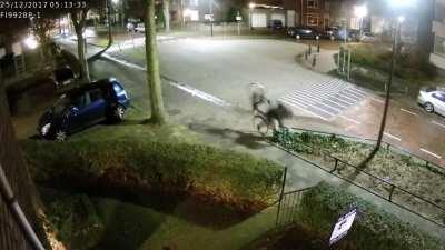 Looking at the phone while cycling. WCGW?