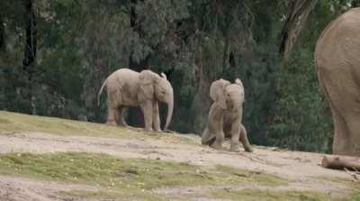 There was an attempt